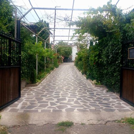 Guesthouse Giorgi Telawi Exterior foto